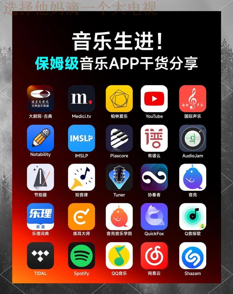 乐动手机APP：畅享极致音乐体验