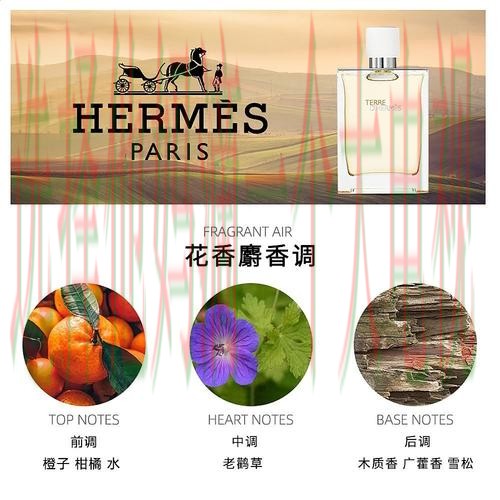 亚盈体育网页版登录入口 亚盈体育网页版登录入口