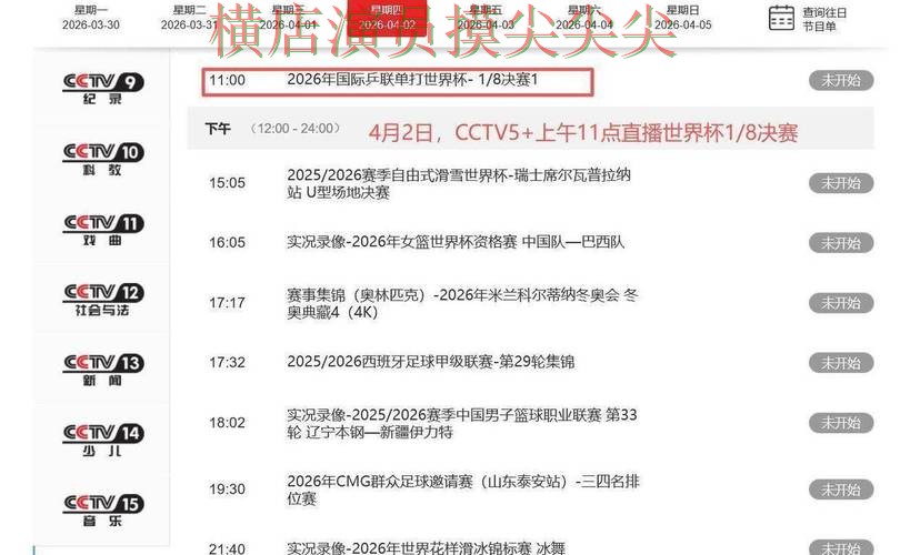 世界杯直播背景下的世界杯投注平台合集汇总与速度测试直播解析